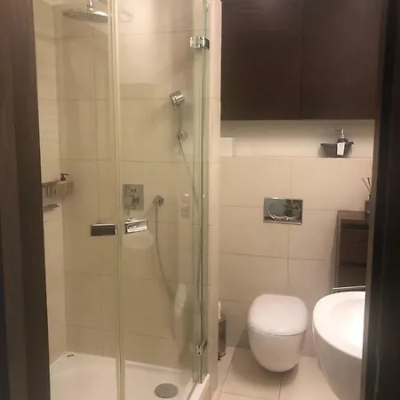 Apartament Odkryta 36a Apartment